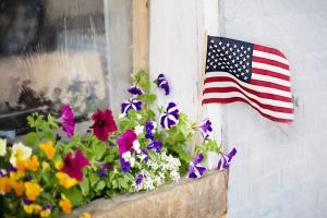 An Outsider's Perspective on U.S. Politics